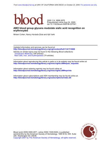 ABO blood group glycans modulate sialic acid recognition