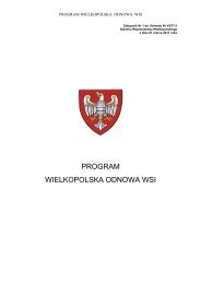 program wielkopolska odnowa wsi - Biuletyn Informacji Publicznej ...