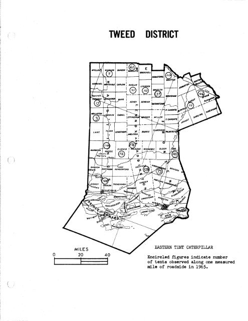 Forest Insect and Disease Survey; Ontario, 1965 - NFIS