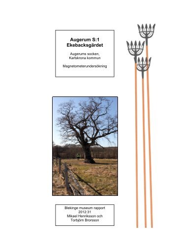 Augerum S:1 Ekebacksgärdet - Blekinge museum