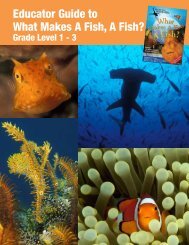 Dream Puffa Fish in 4 Colours Party Bag Gift! Novelty Eraser//Rubber