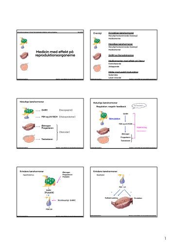 1 Medicin med effekt på reproduktionsorganerne - Institutleder til ...