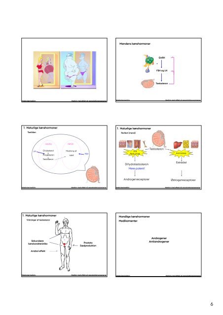1 Medicin med effekt på reproduktionsorganerne - Institutleder til ...