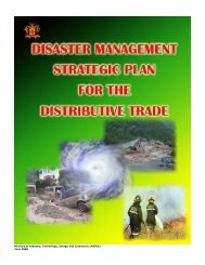 disaster management plan for the distributive ... - Ministry of Energy