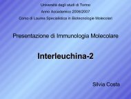 Interleuchina-15 - UniversitÃ  degli Studi di Torino