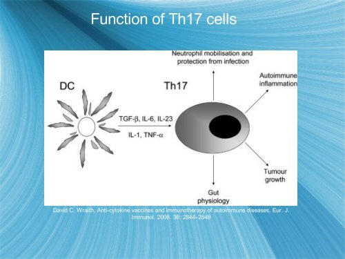 Biological activity of IL 23 and IL 17