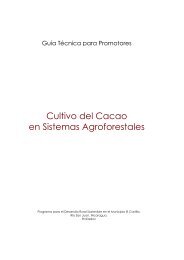Cultivo del Cacao en Sistemas Agroforestales - IICA