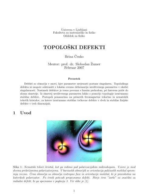 TOPOLOÅ KI DEFEKTI - F9 - IJS