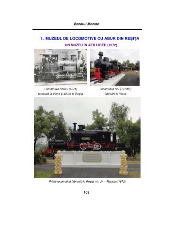 1. MUZEUL DE LOCOMOTIVE CUăABURăDINăREŞI�A