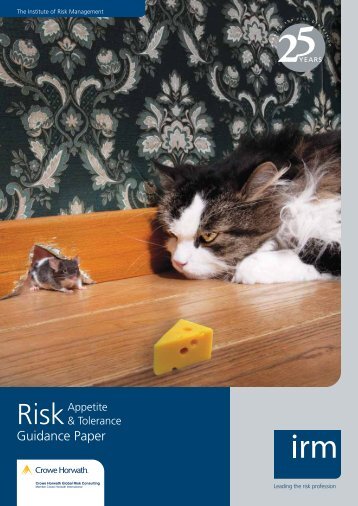 Guidance Paper - The Institute of Risk Management