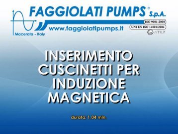 Pdf Inserimento Cuscinetti a Induzione Magnetica - Faggiolati Pumps