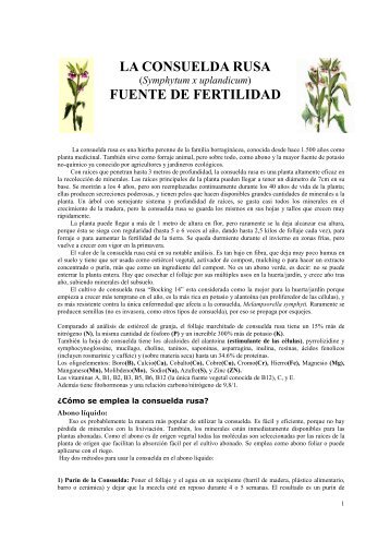 La Consuelda Rusa (Sus cualidades y su uso) pdf. 2pg. - Biodinamica