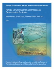 Perfil de Caracterización de las Prácticas de Camaronicultura en ...