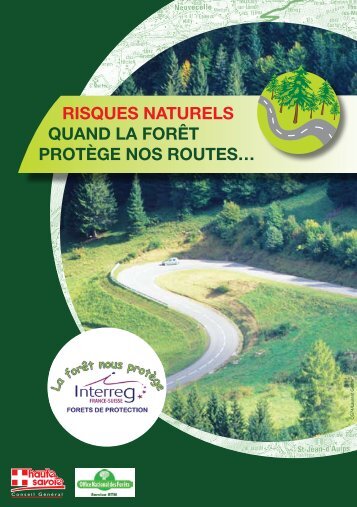 Risques naturels, quand la forÃªt protÃ¨ge nos routes - INTERREG ...