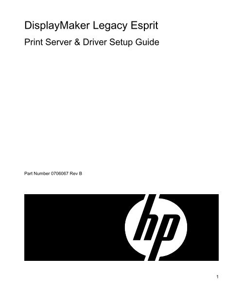 DM Esprit Print Server & Driver Setup Guide Business Support