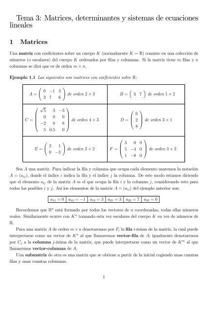 Tema 3: Matrices, determinantes y sistemas de ecuaciones lineales