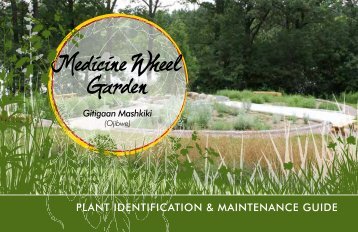 Plant IdentIfIcatIon & MaIntenance GuIde - Toronto and Region ...