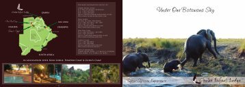 Download Chobe Safari Lodge Brochure