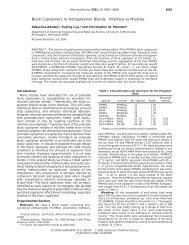 Block Copolymers in Homopolymer Blends: Interface vs Micelles