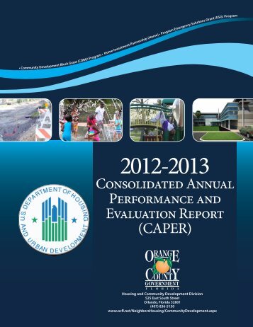 Consolidated Annual Performance and Evaluation Report