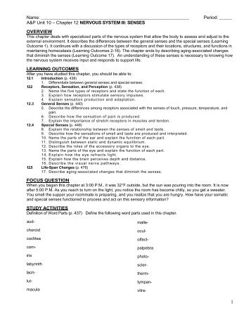 A&P Unit 10 â Chapter 12 NERVOUS SYSTEM II