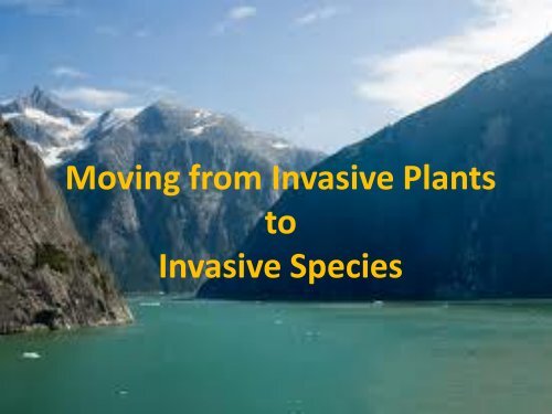 National Forest System Invasive Species Management Program ...