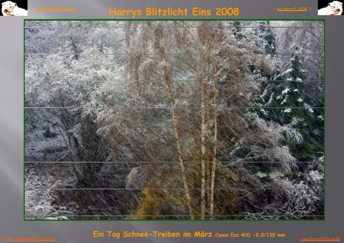 0000 Blitzlicht Eins 2008-03 N - HarrysInFocus