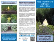 Keep Fire Hydrants and Water Meters Clear brochure (PDF)