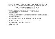 14.Enzimas. RegulaciÃ³n de la actividad enzimatica