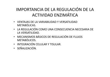 14.Enzimas. RegulaciÃ³n de la actividad enzimatica