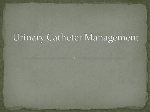 Urinary Catheter Management Alert &#40;PDF&#41; - Glens Falls Hospital