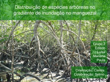Distribuição de espécies arbóreas no gradiente de inundação no ...