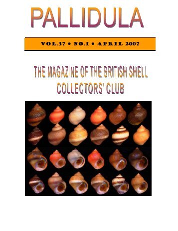 VOL.37 NO.1 APRIL 2007 - British Shell Collectors' Club