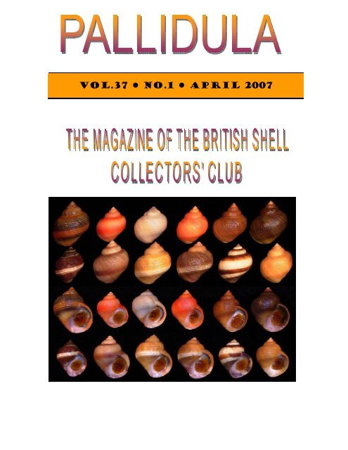 VOL.37 NO.1 APRIL 2007 - British Shell Collectors' Club