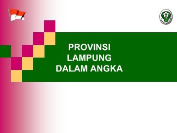 profil pengelolaan obat di kab/kota se provinsi lampung