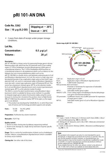 pRI 101-AN DNA