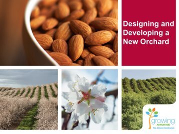 Designing and Developing a New Orchard - Almond Board of ...