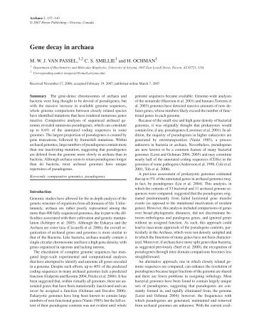 Gene decay in archaea - web.biosci.utexas.edu