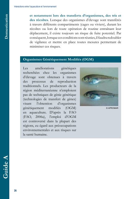 Guide pour le développement durable de l'aquaculture ... - IUCN