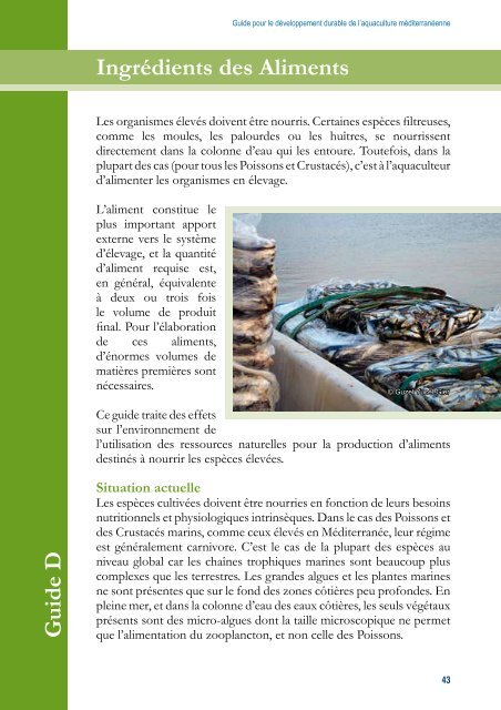 Guide pour le développement durable de l'aquaculture ... - IUCN