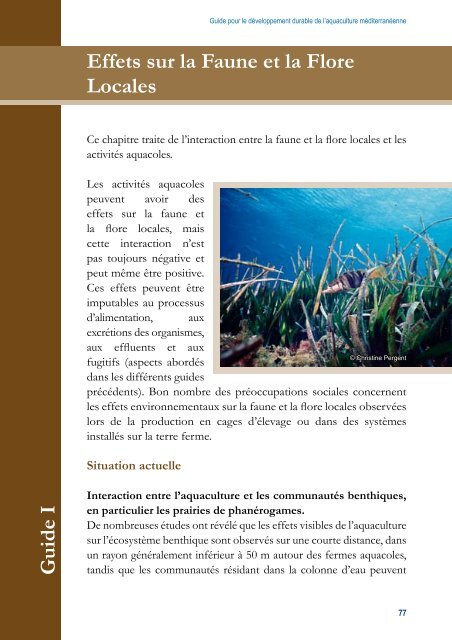 Guide pour le développement durable de l'aquaculture ... - IUCN