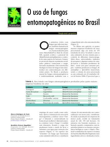 O uso de fungos entomopatogÃªnicos no Brasil - Biotecnologia