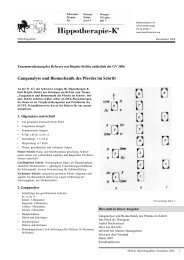 Ganganalyse und Biomechanik des Pferdes im ... - Hippotherapie-K