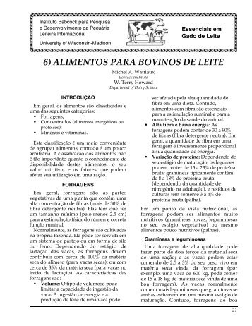 6) alimentos para bovinos de leite - Babcock Institute - University of ...