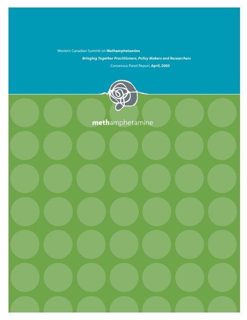 Meth Booklet Part 1 Canadian Harm Reduction Network Meth Booklet Part 1 Canadian Harm Reduction Network