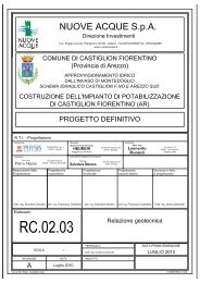 CF02_RC-02-03_Rel. geotecnica.pdf - Nuove Acque