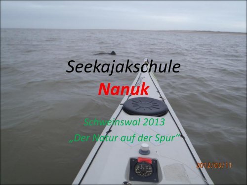 Schweinswal als PDF zum Download - Nanuk