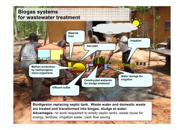 Biogas systems for wastewater treatment - Sustainable Sanitation ...