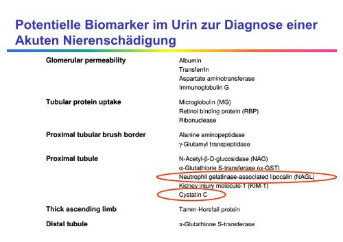 Nierenerkrankungen - Institut für Klinische Chemie ...