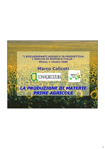 Marco Caliceti LA PRODUZIONE DI MATERIE PRIME AGRICOLE